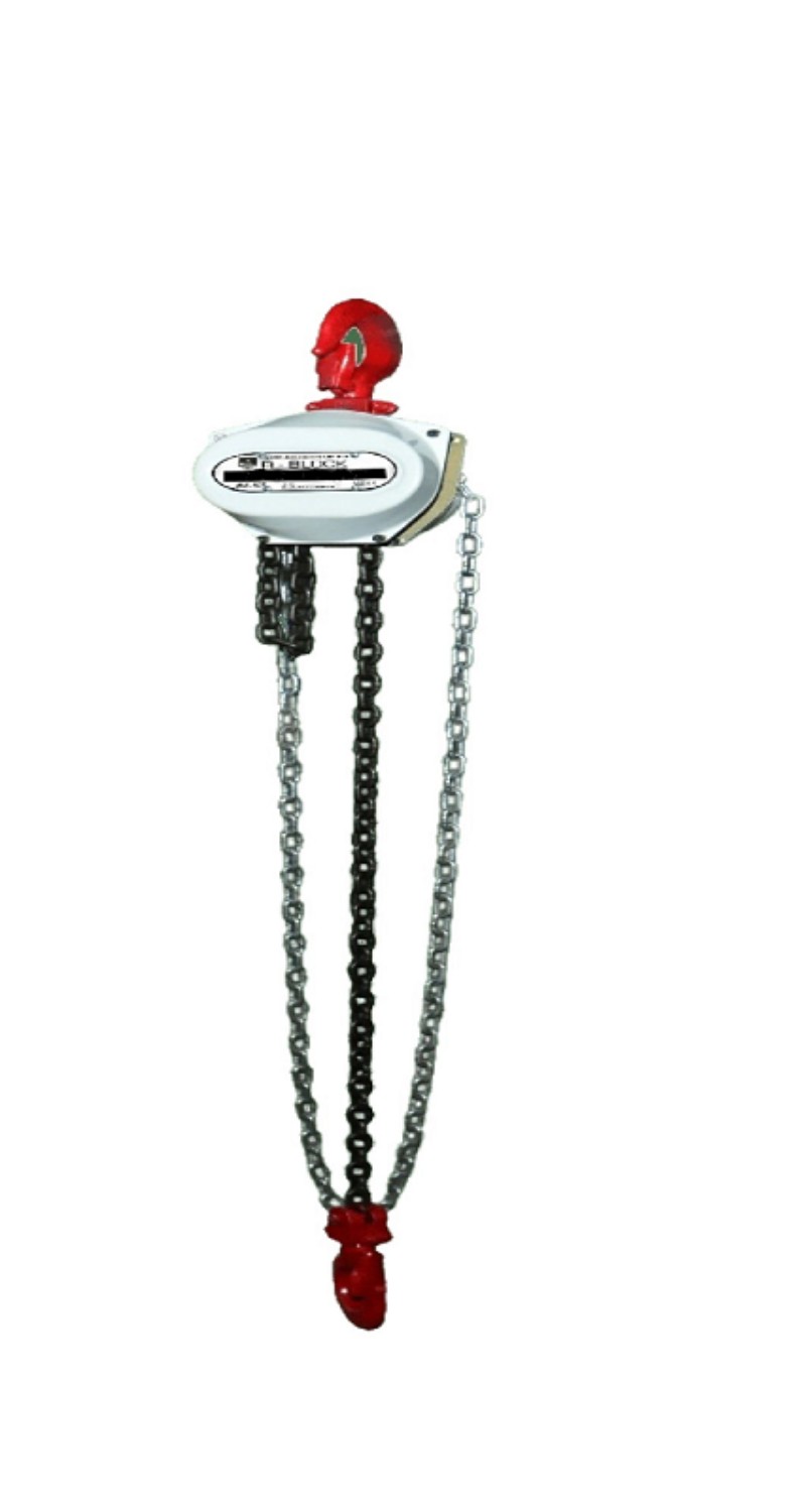 Bajaj 1 ton Chain Pulley Block Upto 40 m 25 kg_0